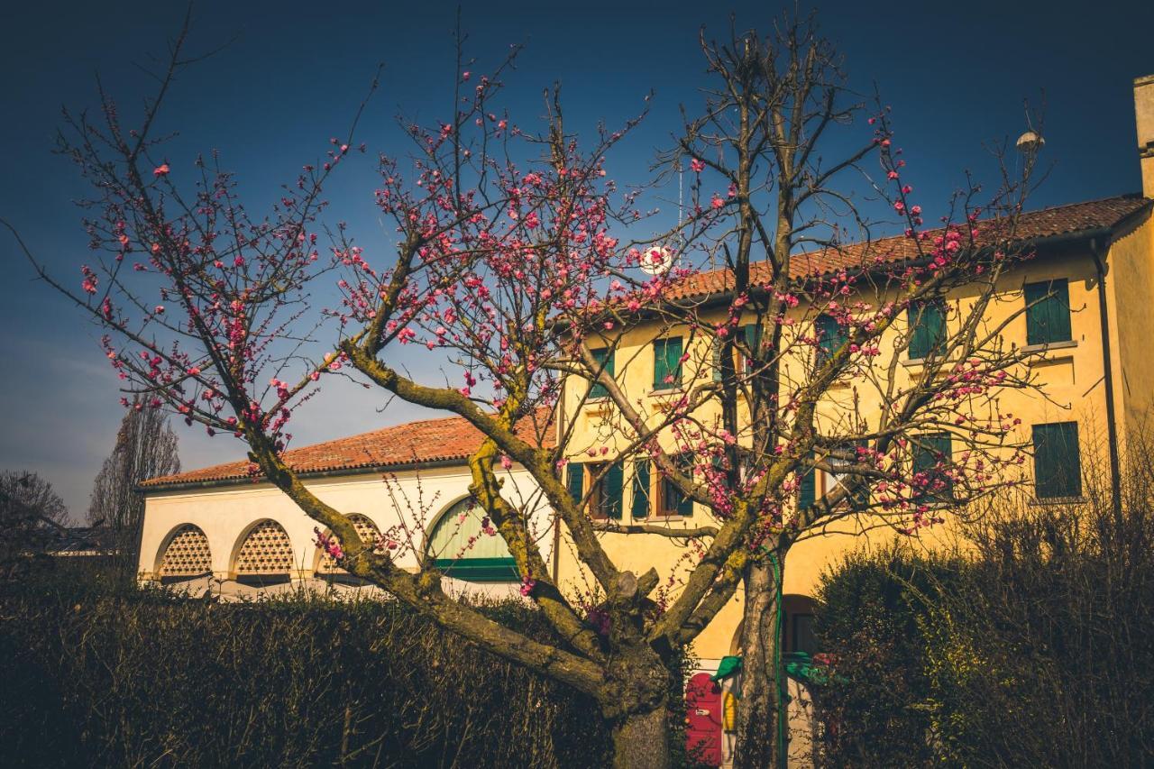Le Vigne Morosina Villa Cessalto Luaran gambar